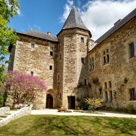 Chateau De Chanze Faye-d'Anjou エクステリア 写真