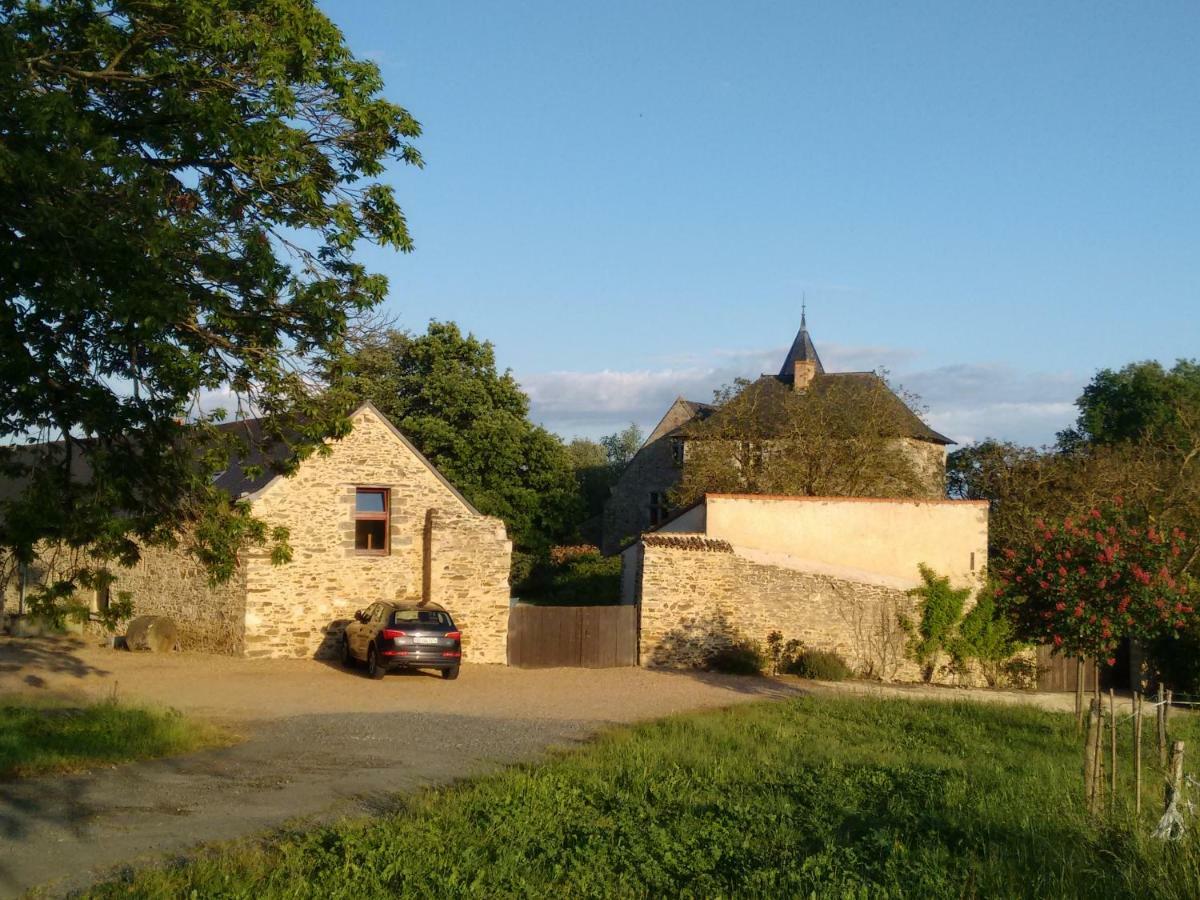 Chateau De Chanze Faye-d'Anjou エクステリア 写真