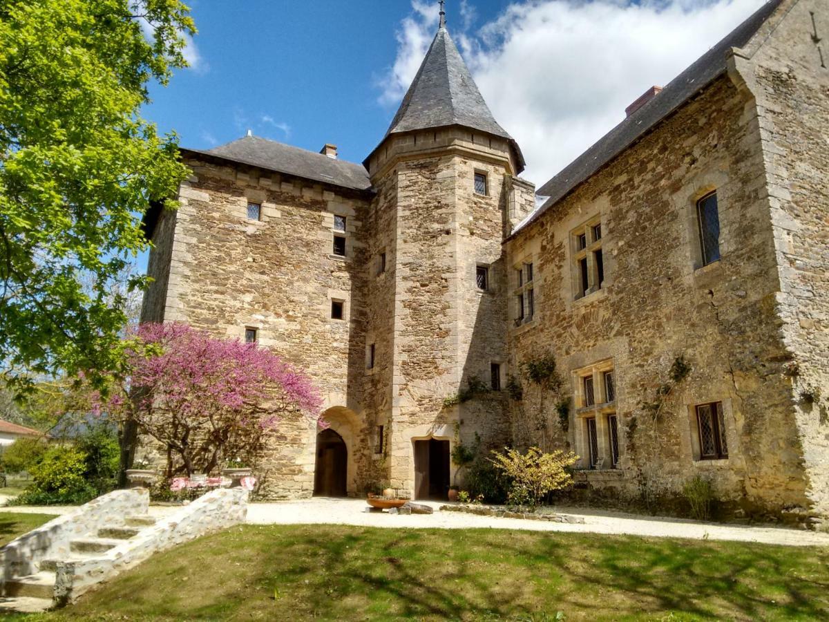 Chateau De Chanze Faye-d'Anjou エクステリア 写真