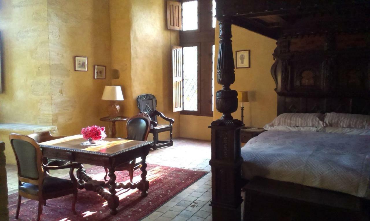 Chateau De Chanze Faye-d'Anjou エクステリア 写真