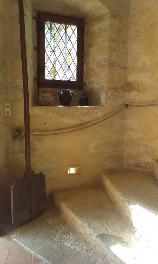 Chateau De Chanze Faye-d'Anjou エクステリア 写真